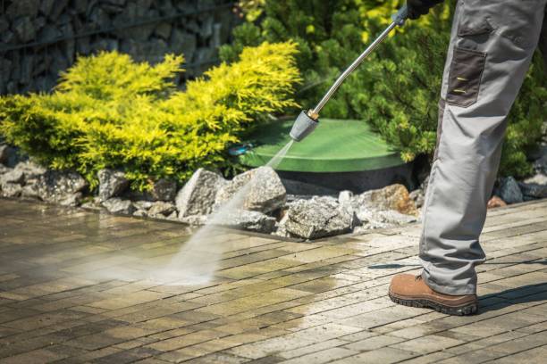 Best Solar Panel Cleaning  in Orange City, FL