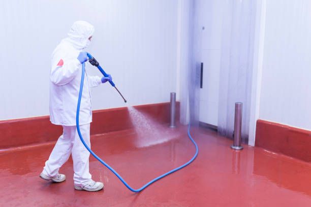 Best Playground Equipment Cleaning  in Orange City, FL